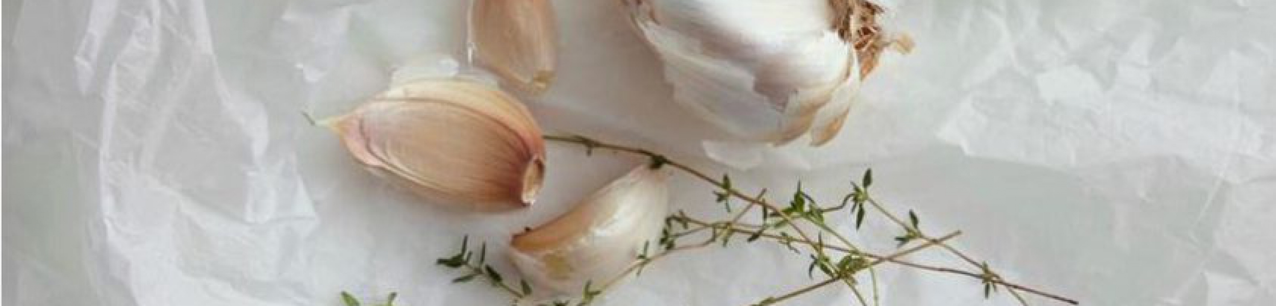 garlic white background